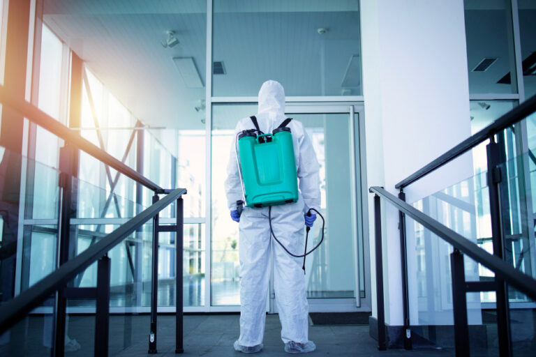 5 Eco-Friendly Pest Control Methods You Should Know About