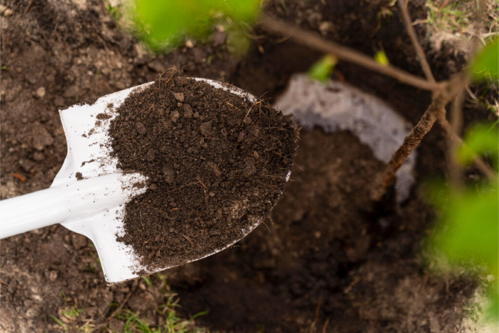 Our anti-termite soil treatment is a pre-construction service that creates a chemical barrier in the soil to stop termites from entering the structure.