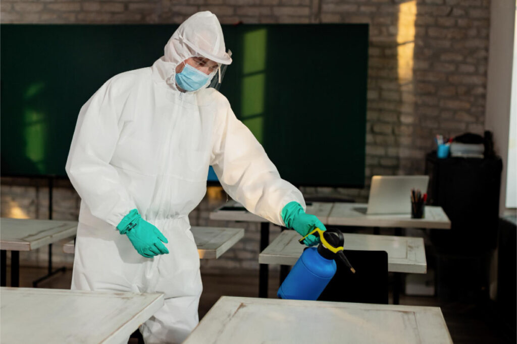 We provide general pest control to treat all common pests like ants, cockroaches, lizards, spiders, and more.