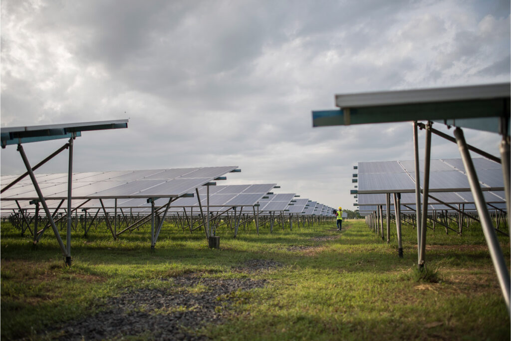 Adopt eco-friendly pest control with our solar fogger system installation.