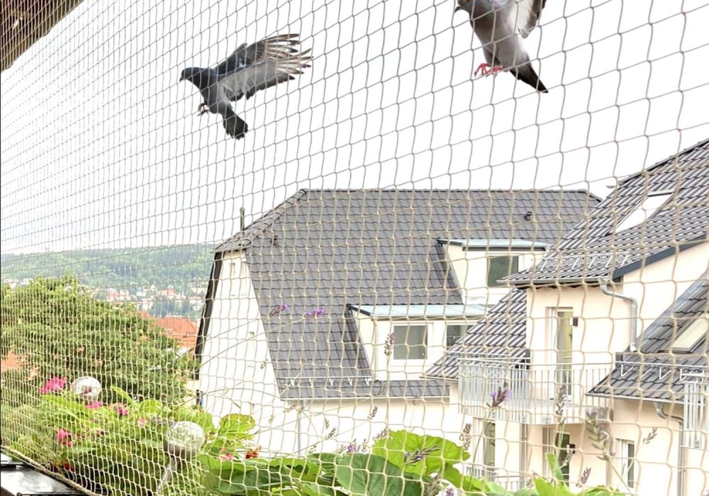 Bird Netting Bird Netting